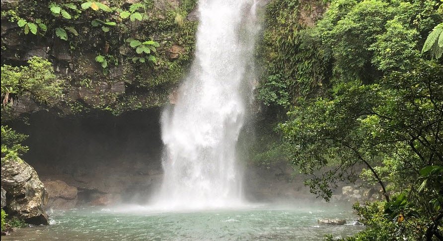 Lavena Coastal Walk, Taveuni Island, Fiji